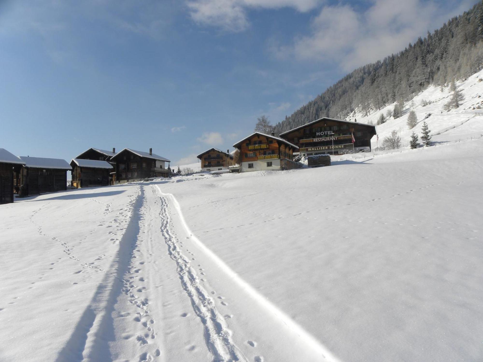 Hotel Restaurant Walliser Sonne Reckingen Zewnętrze zdjęcie
