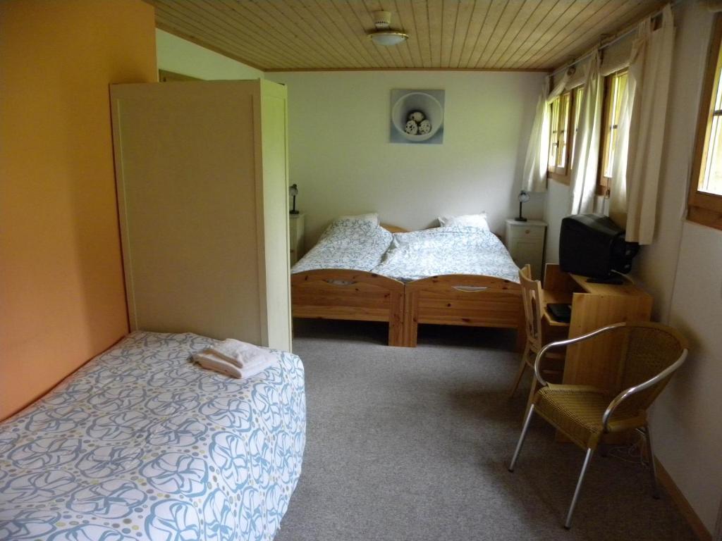 Hotel Restaurant Walliser Sonne Reckingen Pokój zdjęcie