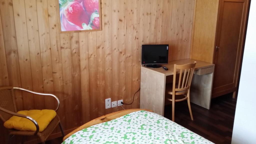Hotel Restaurant Walliser Sonne Reckingen Pokój zdjęcie