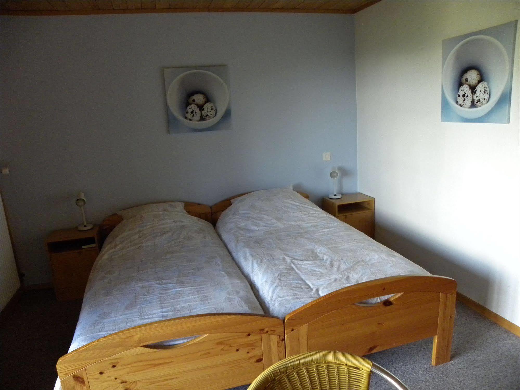 Hotel Restaurant Walliser Sonne Reckingen Zewnętrze zdjęcie